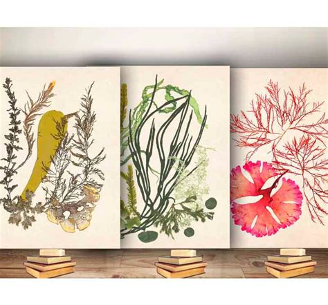 Mystical Marvel: Enhancing Your Walls with Magic Seaweed